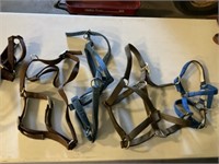 Miscellaneous Horse Tack & Shoeing Equip.