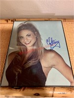 Stacey Keibler Signed WWE Picture (hallway)