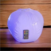 Light Up White BlowUp Ball with Remote