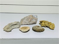 Group Lot - Crystals & Fossils