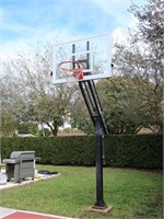 Pro dunk Adjustable Basketball Hoop
