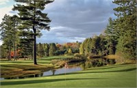 Embrace Michigan's Beauty: Near Golf Resort!