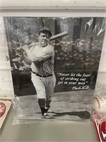 Babe Ruth Metal Sign/Picture