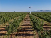 Tract 5 - 100+/- Acre Apple Orchard