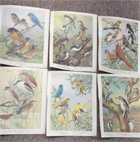 Set of 6 Bird portrait cards