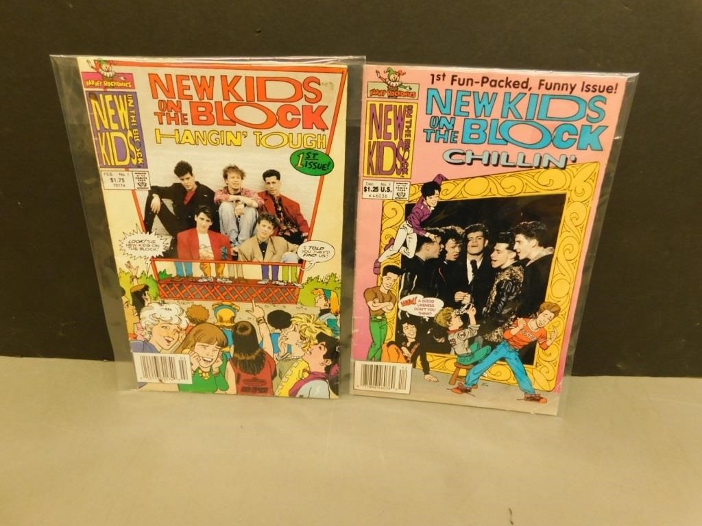 2- Collectible New Kids On The Block Comic Books