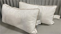 Lot Of 2 (50cmx71cm) Pillows