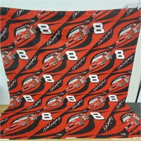 Dale Earnhardt Shower Curtain