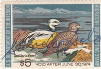 US Department of the Interior Duck Stamp
