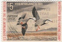 US Department of the Interior Duck Stamp