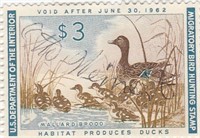 US Department of the Interior Duck Stamp