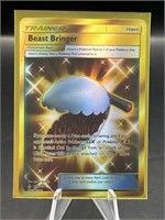 Pokémon trainer beast bringer