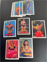 WWF titan sports cards