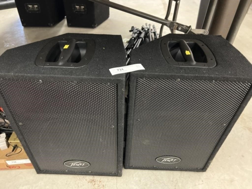 (2) Peavey 50 Watt Speakers