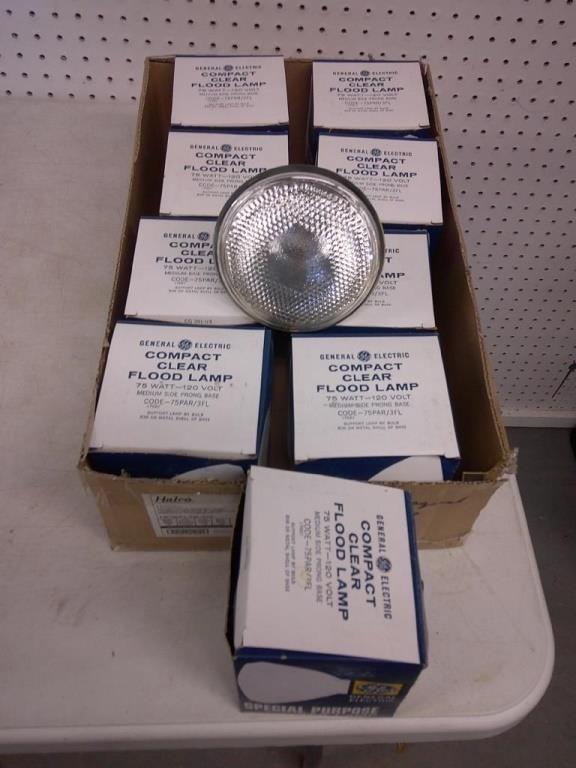 compact flood lamps, side prong