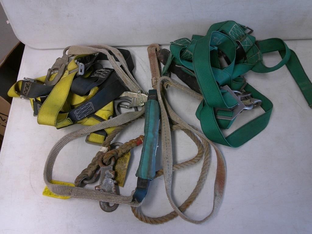 2 harnesses and lanyards