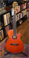 Ibanez AEG10NII-TNG Nylon String Acoustic Guitar