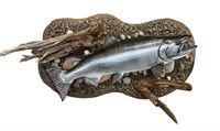 King/Chinook Salmon Trophy Fish Mount