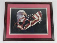American Eagle Flag Framed Picture