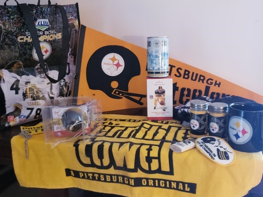 PITTSBURGH STEELERS LOT