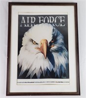Air Force Eagle Framed Print