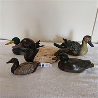 Lot of Ducks