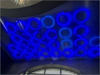 Decorator Ceiling Panels with Ring Lights Above
