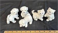 Porcelain Cats and Dogs