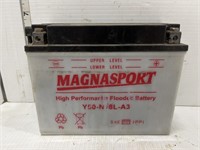 MagnaSport battery