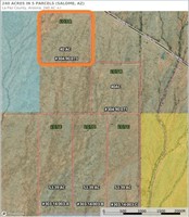 Auction Lot “A” (40+/- acres)