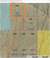 ONLINE AUCTION OF 240 ACRES DESERT LAND IN 5 PARCELS (SALOME