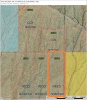 Auction Lot “C” (53.39 +/- acres)