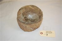 Dinosaur Egg Fossil