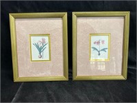 Framed Floral Art Prints