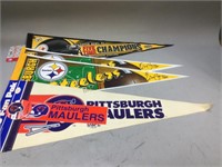 Steelers Pennant & More