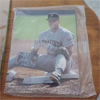 Sealed in Plastic Beckett Baseball Card Monthly -