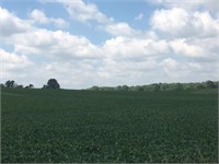 ONLINE LAND AUCTION -129 ACRES-WAYNE CO. IL - 2 TRACTS