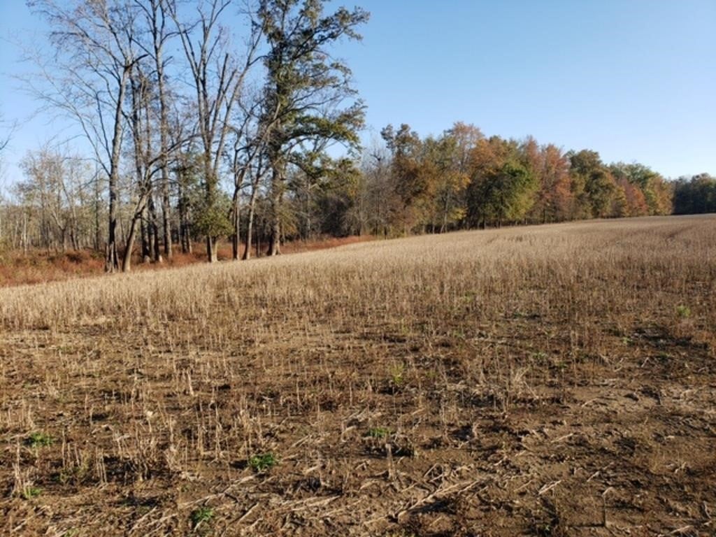 ONLINE LAND AUCTION -129 ACRES-WAYNE CO. IL - 2 TRACTS