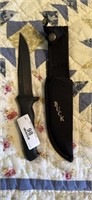 Buck Hunting Knife w/ Sheath