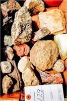 Flat of Various Stones Including Petrified Wood,