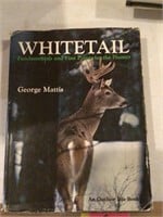 Whitetail By George Mattis