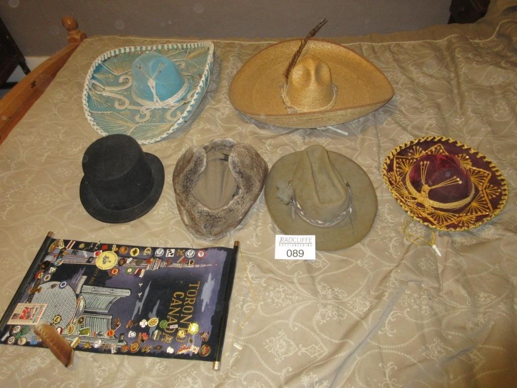 Hats and Pin Collection