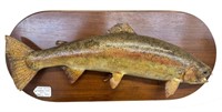 Vintage Real Skin Taxidermy Trout