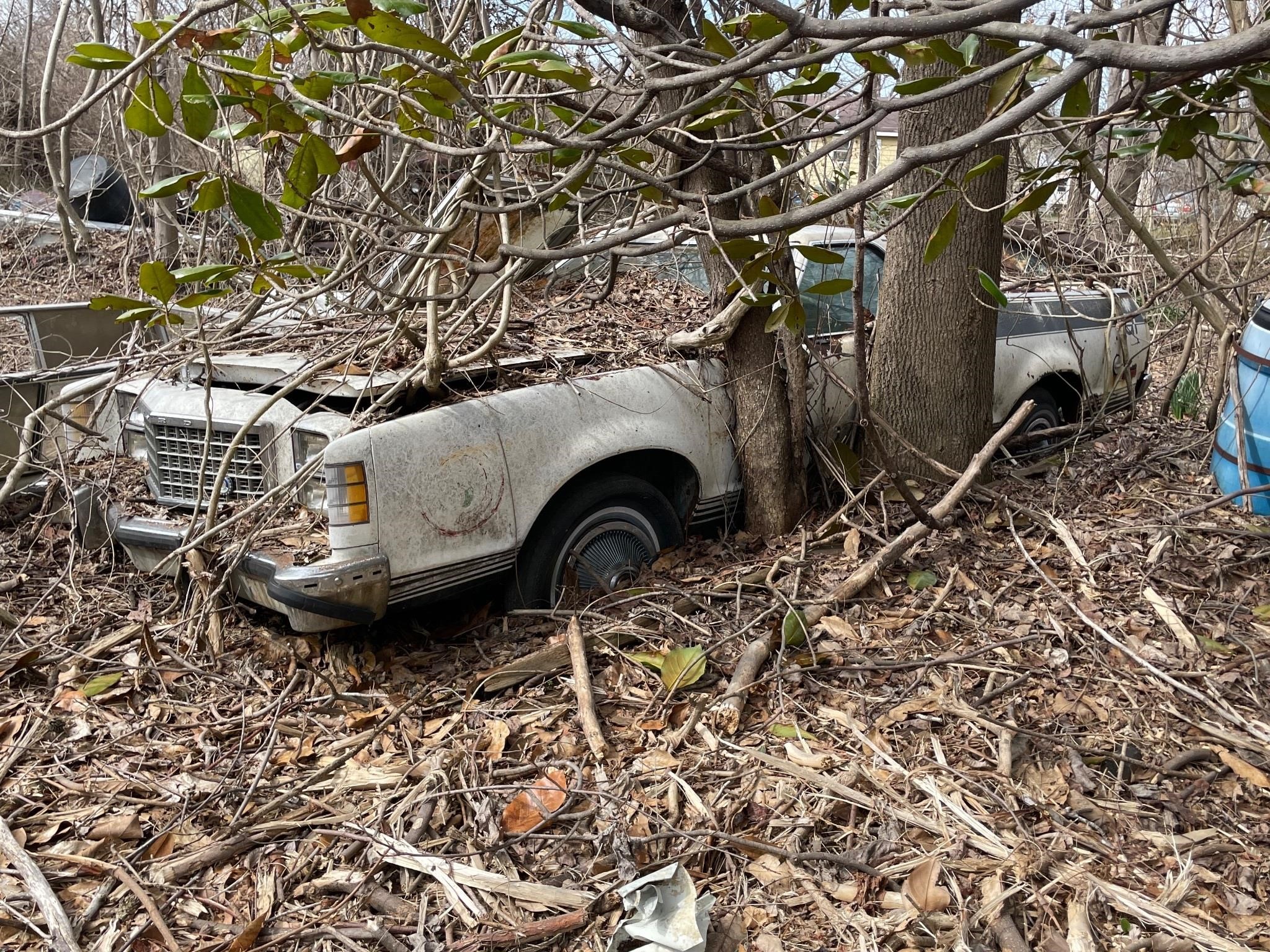 Ford Ranchero