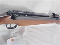 RWG High Performance Air Rifle(Diana)