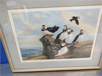 .Puffins Signed Print
