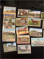 Churchill downs/horse postcards