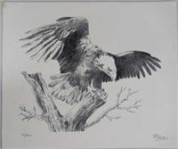 Vtg American Bald Eagle, Perched, Litho 47/100