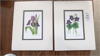 Hand Signed matted floral watercolors 
8in x