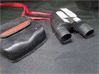 Small Pair of Binoculars
